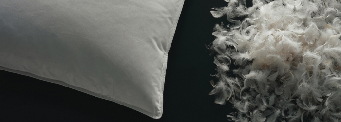 Almohadas de pluma y plumon